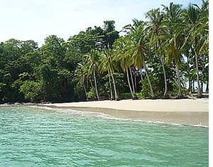 Panama Island Tours & Beach Trips in Chiriqui's Gulf